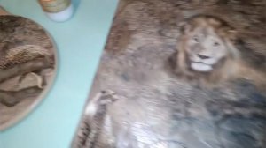 Вторая жизнь старых вещей.(кухонный столик СССР)