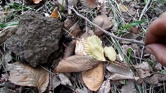 Часть 28 Ахтубинский вояж смотреть онлайн