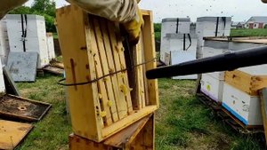 Полезная приспособа при выдувании пчёл.