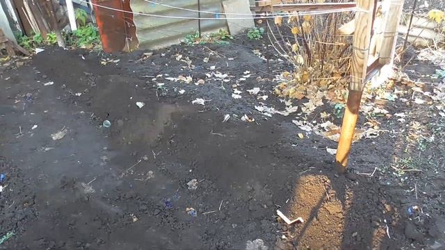 Как укрыть виноград на зиму смотреть онлайн