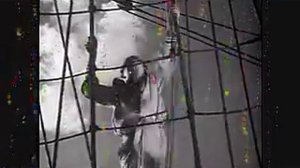 А НУ-КА ПЕСНЮ НАМ ПРОПОЙ ВЕСЁЛЫЙ ВЕТЕР-- Влад НЕЖНЫЙ