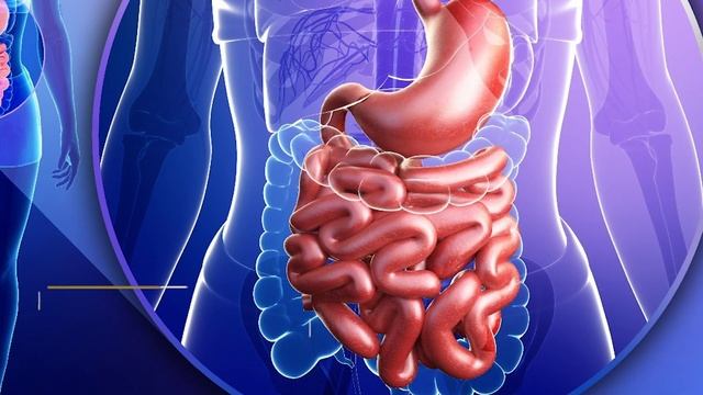 Волшебные Лечебные Свойства ПЕРЕГОРОДОК ГРЕЦКИХ ОРЕХОВ: Как Правильно Приготовить ОТВАР и НАСТОЙКУ смотреть онлайн