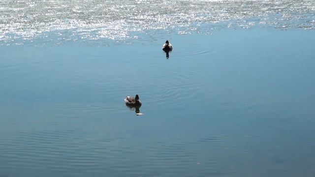 Первомайская прогулка вдоль озера Тургояк ( 1 мая - 2021 ) смотреть онлайн