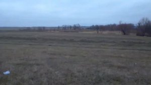 охота с пневматикой мр512,на утку