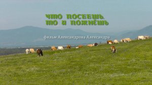 Что посеешь, то и пожнешь