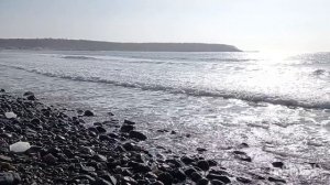 база отдыха Лукоморье