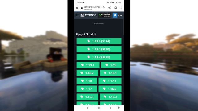 Make 24/7 Epic Minecraft PE Or Java Server For Free For All Versions Support смотреть онлайн
