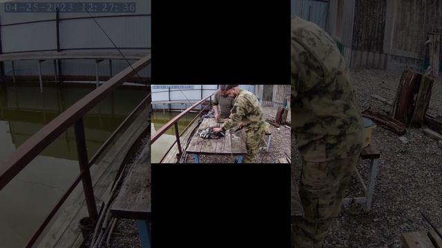 Бешеный клев после дождя, рыбалка в краснодарском крае на лимане ! смотреть онлайн