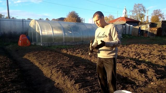 РЕАЛЬНО ЛИ ЗАРАБОТАТЬ 1 000 000 РУБЛЕЙ НА ЧЕСНОКЕ?!
