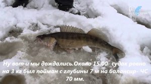Ветлуга, Михаленино. Судак на балансир.