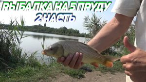 Рыбалка как Отдых Лабинск на 5 пруду август 2021г. КУБАНЬ Класс! Живите в Кайф!