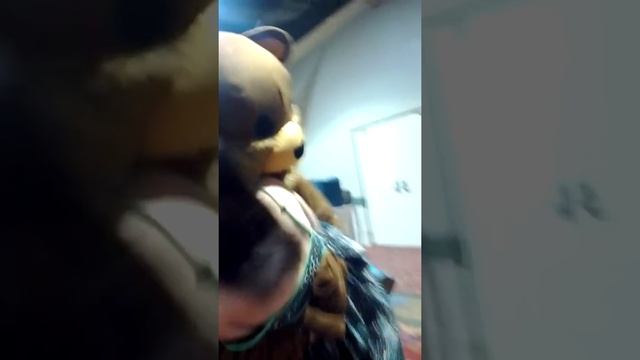 Pedo Bear kidnaps little girl Quakecon 2012 смотреть онлайн