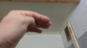 Откуда мыши в квартире 9 этаж