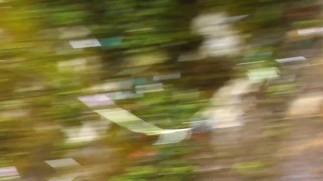 абхазия водопад мужские слезы май 2016 смотреть онлайн