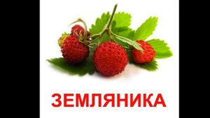 УЧИМ  Овощи и Фрукты для детей  ???  - развивающие мультфильмы для самых маленьких - учим слова