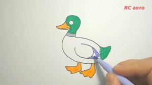 Как нарисовать утку /how to draw а duck