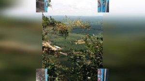 Краби  Таиланд 2016  Часть 4  Храм тигра, изумрудное озеро, горячие источники