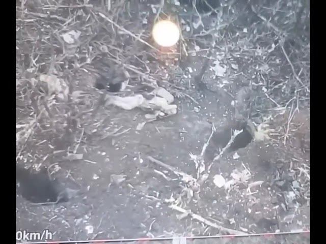 Российский боец оглушил прикладом и взял в плен солдата ВСУ смотреть онлайн