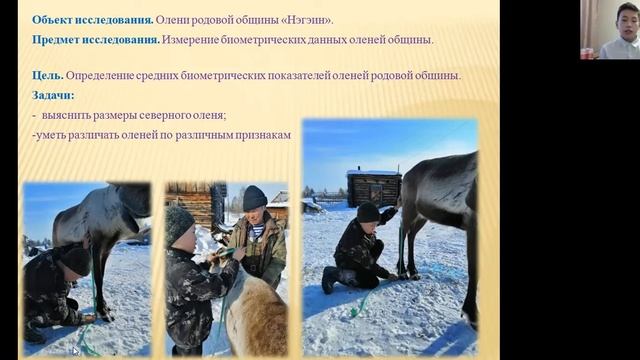 Артем Слепцов - 7.5 Сельскохозяйственные науки / #75ШВБ2022