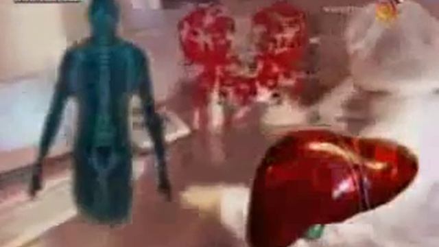 ПЕЧЕНЬ. Строение, функции, болезни и желчный пузырь смотреть онлайн