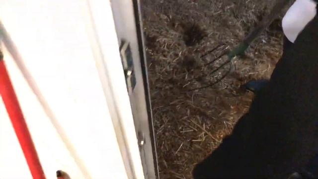 Курятник без запаха зимой. Зимняя уборка курятника смотреть онлайн