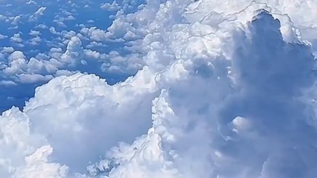Аят за которую Ангелы будут молится за тебя. Очень красивое чтение.