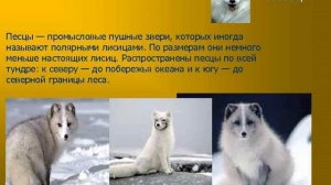 Хищники пушные 7кл