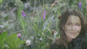 Коло года.  Языческий праздник Мабон