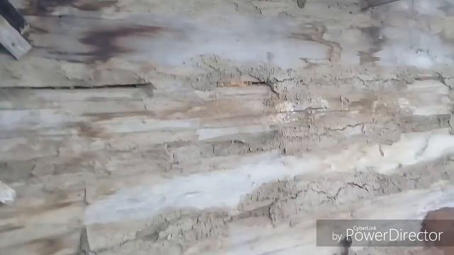 БЮДЖЕТНЫЙ САРАЙ ИЗ GOVNA И ПАЛОК