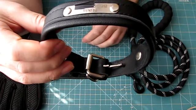 Перчатка для вычесывания шерсти, индивидуальный ошейник и поводок для собак, смотреть онлайн