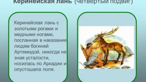 Презентация к уроку истории: "12 Подвигов Геракла"