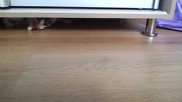 Кто сказал, что соска только для детей... смотреть онлайн