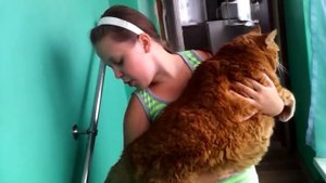 Самый толстый КОТ ВАСИЛИЙ из Башкирии -идёт гулять