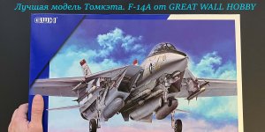 Лучшая модель Томкэта на данный момент. F-14A в 48 масштабе от Great Wall Hobby.