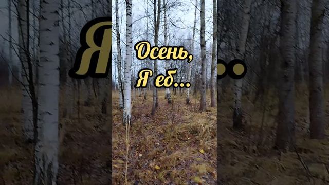 Осень смотреть онлайн