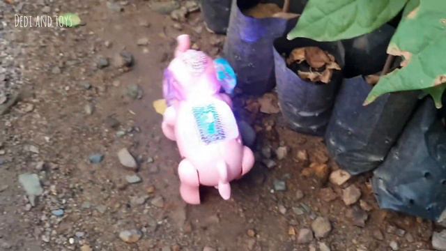 Menemukan Mainan Sapi Hidup Gajah Burung Elang Dinosaurus Zebra Singa Anjing Poodle смотреть онлайн