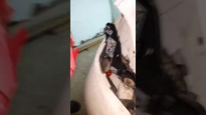 Замена лампы дневного света на задней фаре Пежо 207, PEUGEOT 207