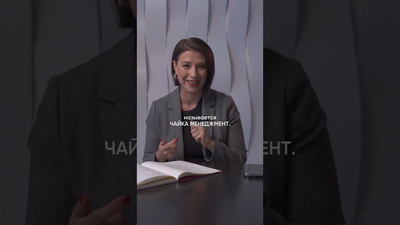 Чайка менеджмента смотреть онлайн