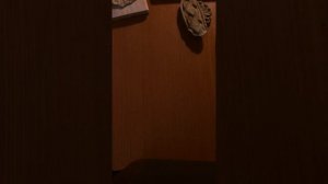 Древесная паста. Опыты с опилками_3