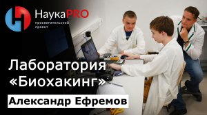 Лаборатория «Биохакинг» парка «Сириус» и работа со школьниками – биолог Александр Ефремов