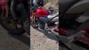 МОТОАЛЬФА Отзыв от Антона из г. Сочи  купившего мотоцикл:? HONDA CB 600 Hornet  ?