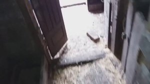 Мускусная утка(индоутка)села на яйца не там где нужно / можно пересадить насиживать в другое место?