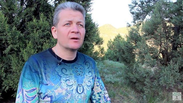 В каком случае возможен остаточный доход в МЛМ? Дружба логики со здравым смыслом.  Михаил Середа