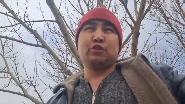 Әйелдер мерекесінде неге жел соғатынын нақты түсіндірді шындық осы?