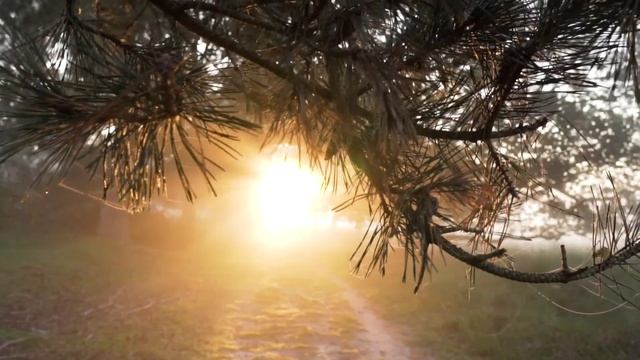 красивая, нежная расслабляющая музыка для снятия напряжения и релаксации смотреть онлайн