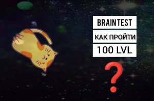 Сборник уровней 50-80 игры Brain Test