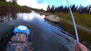 Сплав. Рыбалка на хариуса. Кум сколотил полевой стол. Ночь в палатке. Тайга. 4 часть.