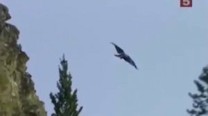 ДИНАСТИЯ РОКФЕЛЛЕРОВ