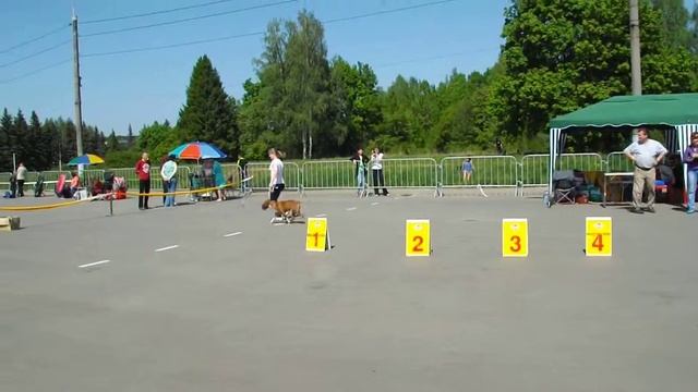 Калужский Талисман Черешенка