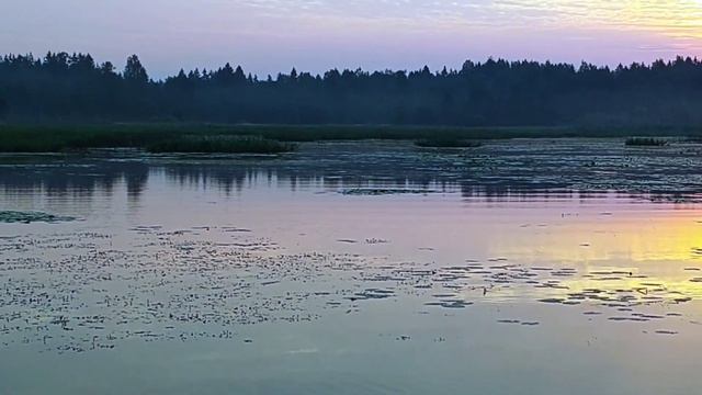 Романс "Колечко". Слова И. Бродского, муз. В. Берковского. Исполнение и аккомпанемент Валентины Рих смотреть онлайн